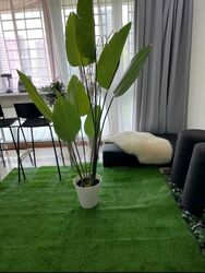 Oleander Towers (D12), Apartment #452293441